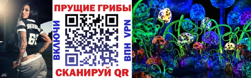 магазин продажи Видное Галлюциногенные грибы MAGIC MUSHROOMS
